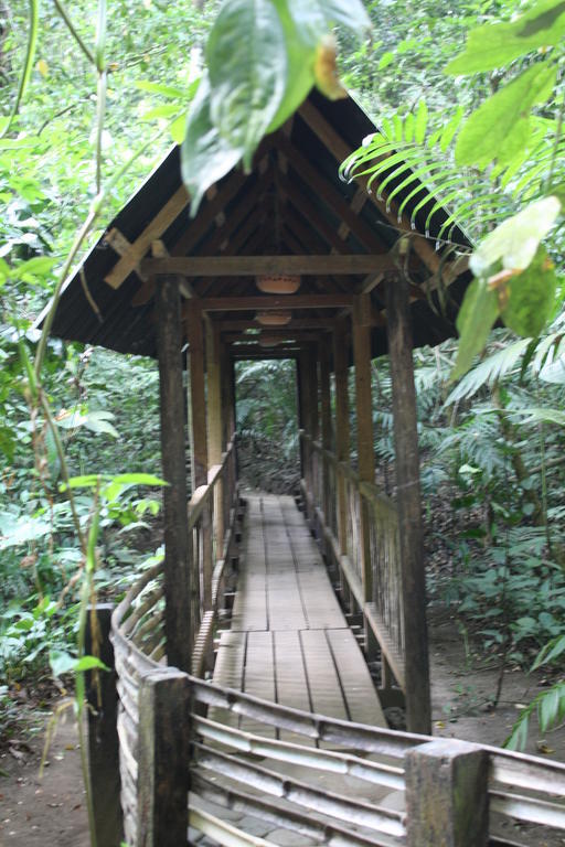 Reserva Ecologica Nanciyaga Catemaco Kültér fotó