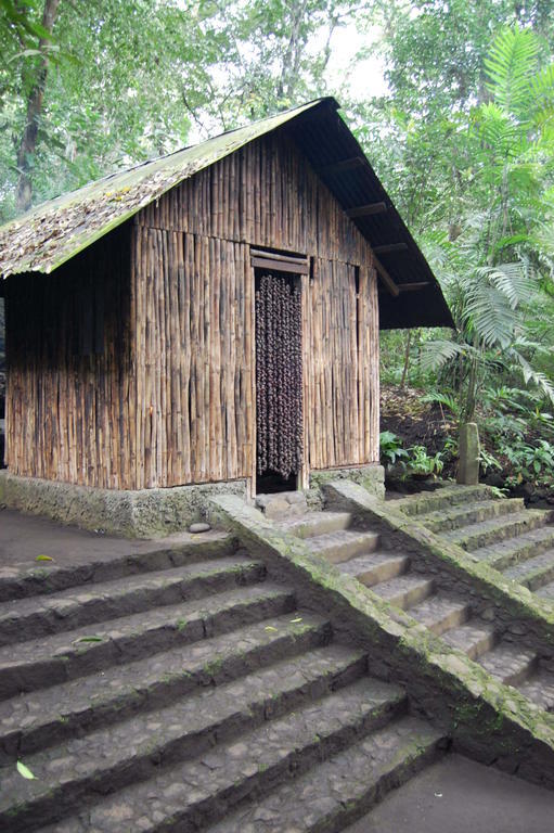 Reserva Ecologica Nanciyaga Catemaco Kültér fotó